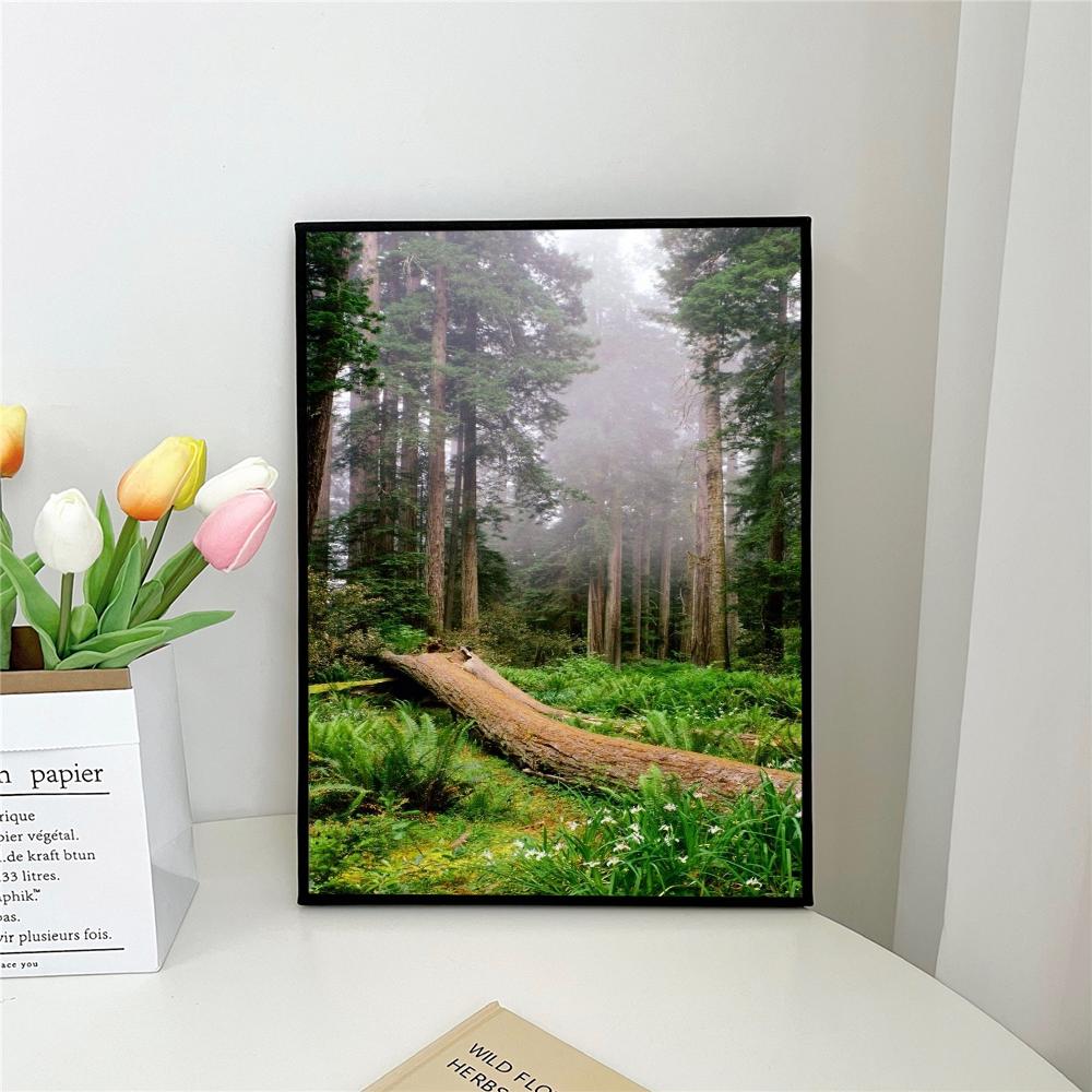 1 шт. темно-зеленый лесной туман горный пейзаж природа самоклеящийся художественный постер водонепроницаемая бумажная наклейка украшение на стену 21*30cm No Frame
1 шт. темно-зеленый лесной туман горный пейзаж природа самоклеящийся художественный постер водонепроницаемая бумажная наклейка украшение на стену 21*30cm No Frame