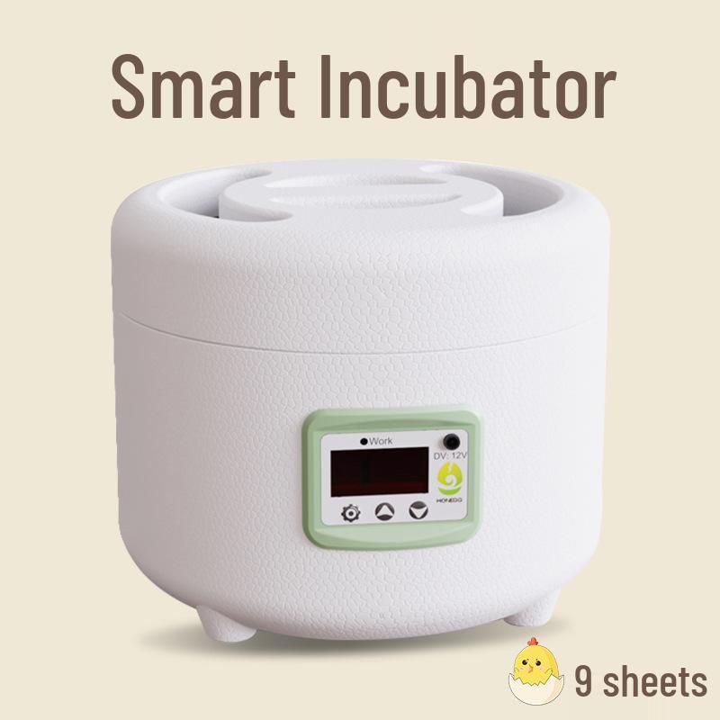 Автоматический инкубатор для цыплят и перепелов с двойным питанием 9 Eggs
Автоматический инкубатор для цыплят и перепелов с двойным питанием 9 Eggs