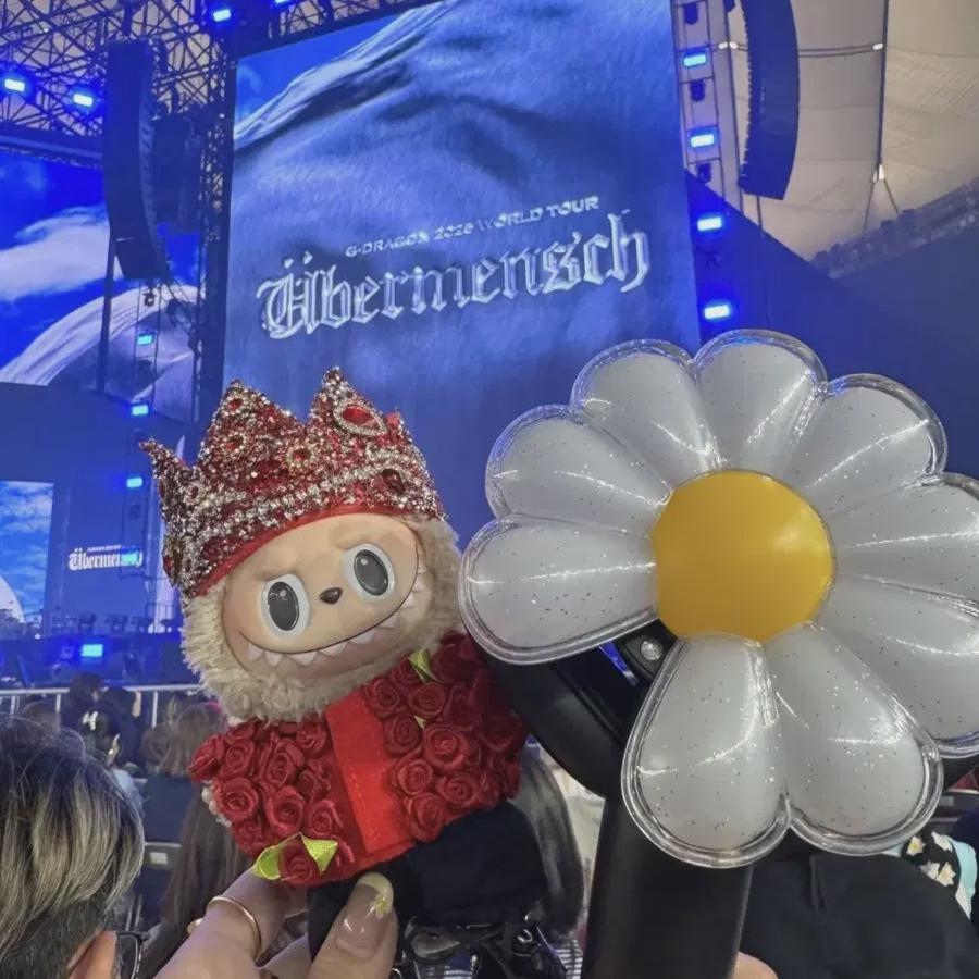Одежда для куклы Лабубу ручной работы G-dragon Gd Gd Концерт Роза Роза Корона Набор
Одежда для куклы Лабубу ручной работы G-dragon Gd Gd Концерт Роза Роза Корона Набор