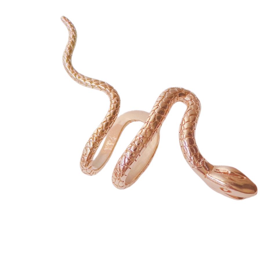 Унисекс Европейские и Американские Панк Серьги-Каффы в виде Змеи: Без прокола, Регулируемый, Модная бижутерия
Унисекс Европейские и Американские Панк Серьги-Каффы в виде Змеи: Без прокола, Регулируемый, Модная бижутерия