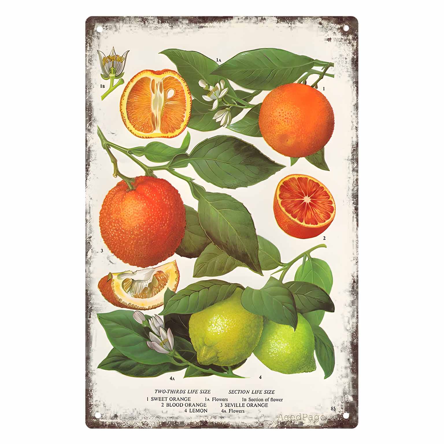 Vintage Metal Sign Poster Cafe Bar Garage Living Room Kitchen Wall Art Decoration Plaque Gift Wall Sculptures 20x30cm
Vintage Metal Sign Poster Cafe Bar Garage Living Room Kitchen Wall Art Decoration Plaque Gift Wall Sculptures 20x30cm