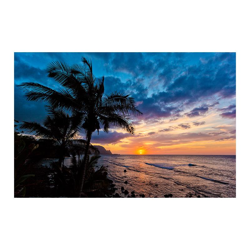 Beach Sunset Clouds Coco Nut Tree Canvas Painting Palm Tree Posters and Prints Sunrise Seascape Home Room Decor Unframed 40x60cm
Beach Sunset Clouds Coco Nut Tree Canvas Painting Palm Tree Posters and Prints Sunrise Seascape Home Room Decor Unframed 40x60cm