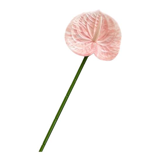 Artificial Anthurium Flower 24.4 Inch Real Touch Fake Flower for DIY Wedding Bouquets Floral Arrangements Bridal Shower Party Centerpiece
Artificial Anthurium Flower 24.4 Inch Real Touch Fake Flower for DIY Wedding Bouquets Floral Arrangements Bridal Shower Party Centerpiece