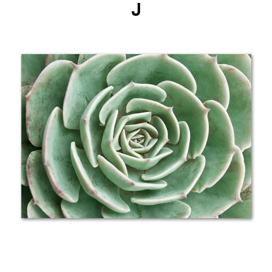 Зеленая агава кактус листья растения абстрактные настенные картины холст скандинавские постеры и принты для декора гостиной настенные картины 30x40cm No Framed
Зеленая агава кактус листья растения абстрактные настенные картины холст скандинавские постеры и принты для декора гостиной настенные картины 30x40cm No Framed