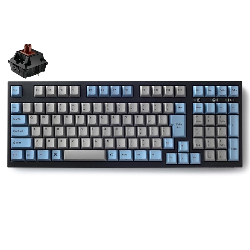 LEOPOLD FC980MBT GRAYBLUE Bluetooth/USB-C Japanese JIS layout Kana nothing 102 keys Space-saving keyboard with numeric keypad Switch hot-swappable
LEOPOLD FC980MBT GRAYBLUE Bluetooth/USB-C Japanese JIS layout Kana nothing 102 keys Space-saving keyboard with numeric keypad Switch hot-swappable