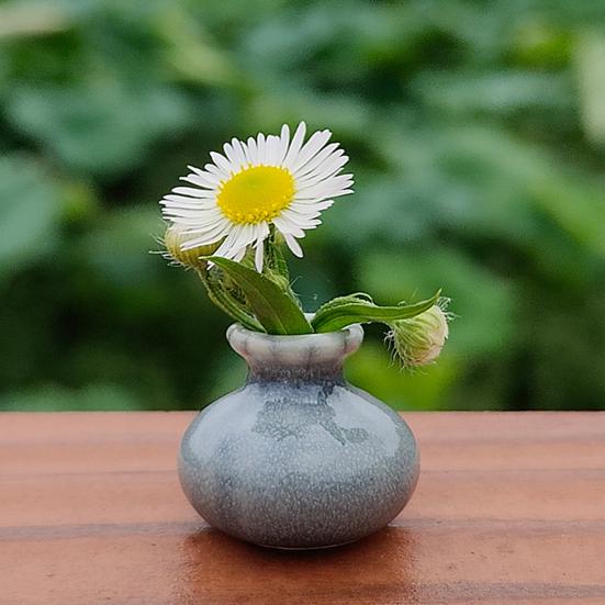 Yousheng Small Vase for Doll House 1:12/1:6 Scale Realistic Miniature Decor Mini Ceramic Small Vase Ornament Collections Displays Pottery Vase розовый
Yousheng Small Vase for Doll House 1:12/1:6 Scale Realistic Miniature Decor Mini Ceramic Small Vase Ornament Collections Displays Pottery Vase розовый