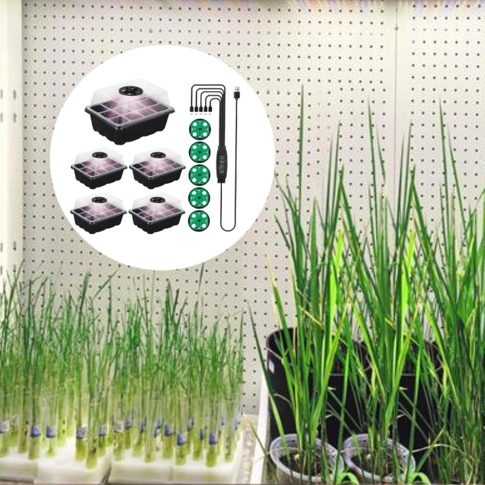 5 комплектов лотков для рассады с подсветкой для растений, регулируемая яркость, садовые принадлежности, многоразовые, практичные чёрный
5 комплектов лотков для рассады с подсветкой для растений, регулируемая яркость, садовые принадлежности, многоразовые, практичные чёрный