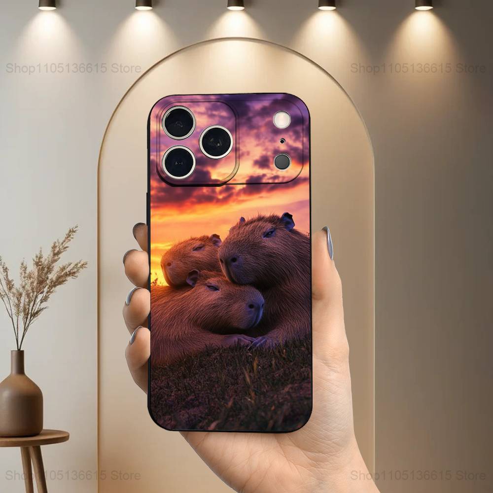 Funny Capybara Cute Animal Case For iPhone 15,16,12,14,17,13,11,Plus,Pro Max,8,7,XR,SE,XS,X,Mini,Soft Silicone Black iPhone14
Funny Capybara Cute Animal Case For iPhone 15,16,12,14,17,13,11,Plus,Pro Max,8,7,XR,SE,XS,X,Mini,Soft Silicone Black iPhone14