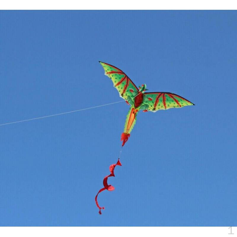 3D Single Kite for Adult Children
3D Single Kite for Adult Children