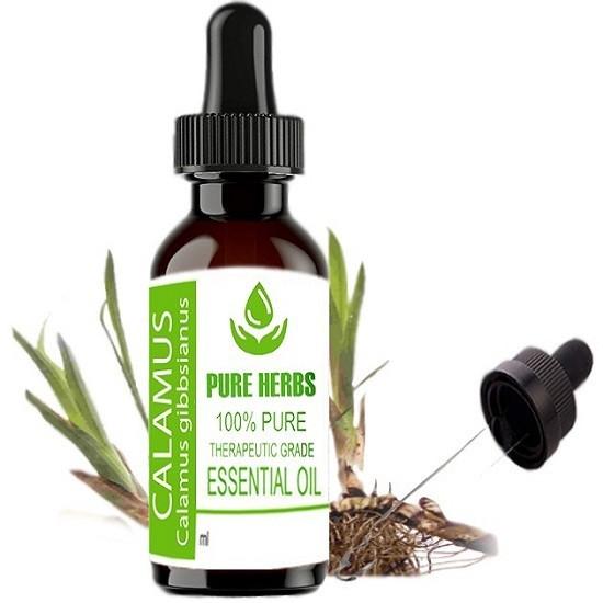 Pure Herbs Calamus 100% Pure & Natural Calamus Gibbsianus Essential Oil 50ML
Pure Herbs Calamus 100% Pure & Natural Calamus Gibbsianus Essential Oil 50ML