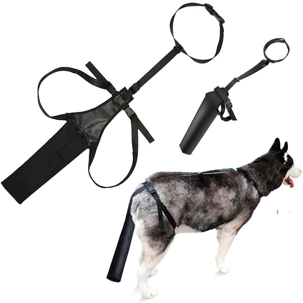 Breathable Dog Tail Cover Adjustable Dog Wound Guard Sleeve Durable Dog Tail Protector Hiking M
Breathable Dog Tail Cover Adjustable Dog Wound Guard Sleeve Durable Dog Tail Protector Hiking M