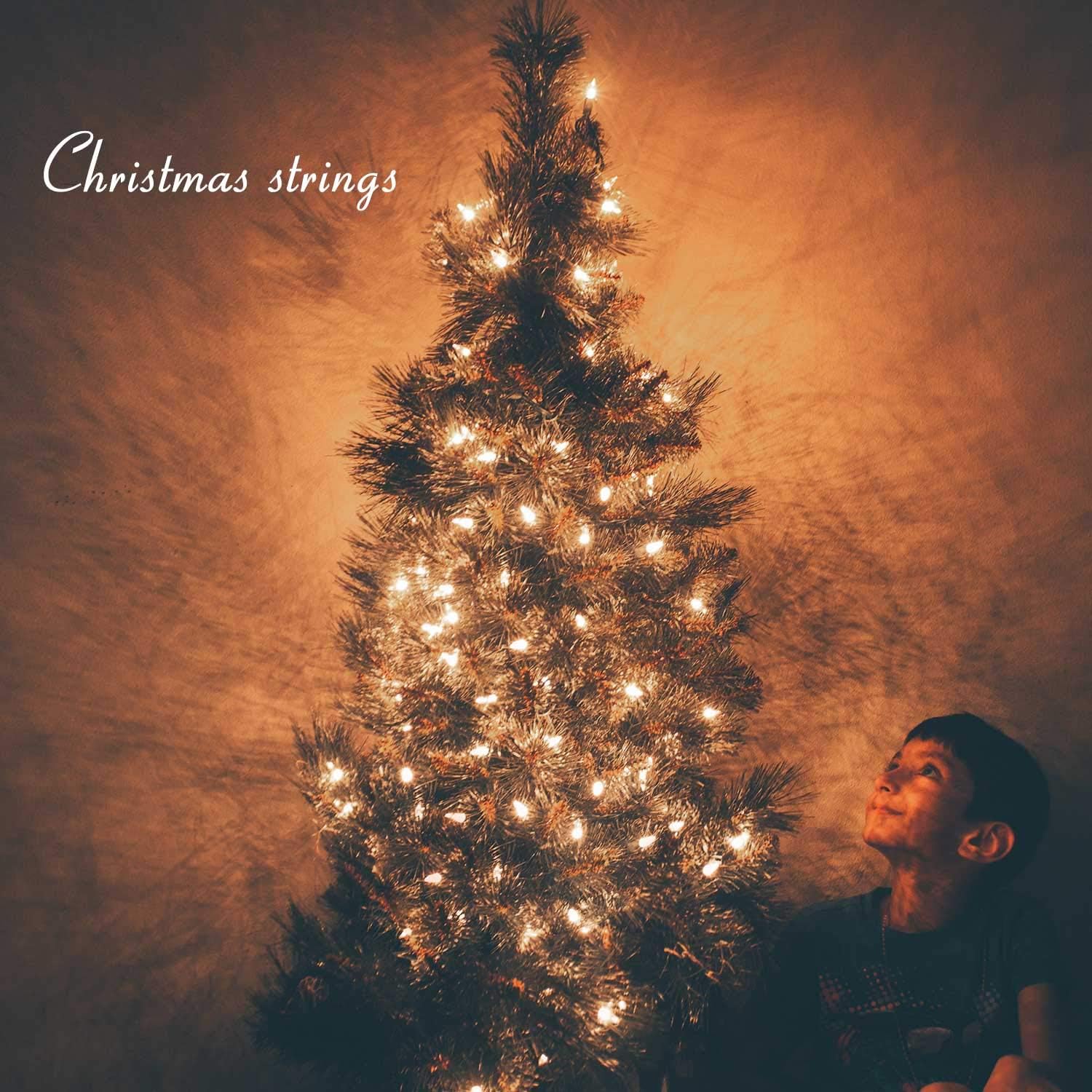 25 Pack Warm White Dimmable E17 LED Bulbs for Christmas Lights - Shatterproof, 2 Diode Commercial Grade String Lights
25 Pack Warm White Dimmable E17 LED Bulbs for Christmas Lights - Shatterproof, 2 Diode Commercial Grade String Lights