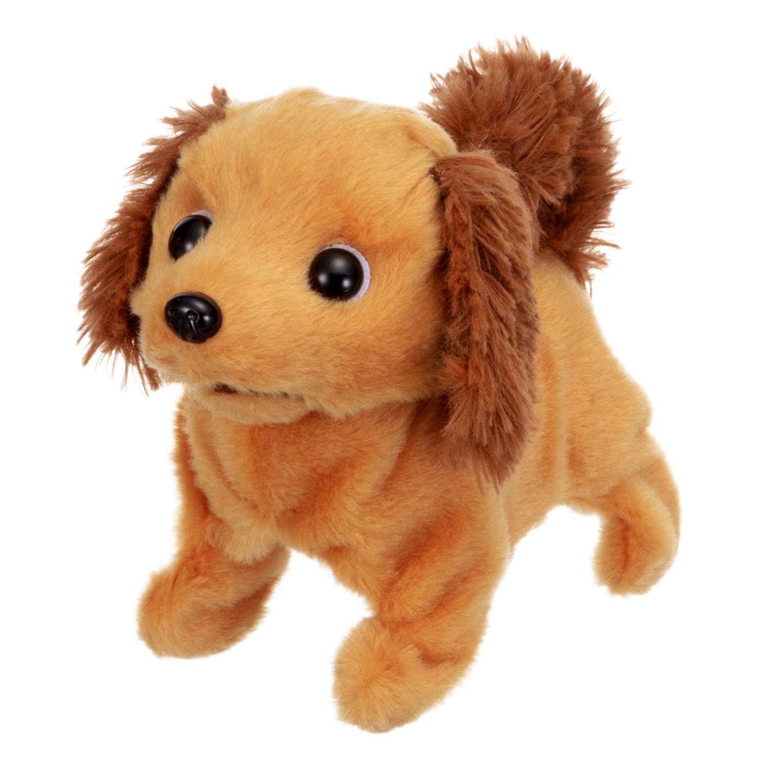 Iwaya Piccoline Miniature Dachshund, ST Mark, Ages 3 and Up, Moving Plush Toy
Iwaya Piccoline Miniature Dachshund, ST Mark, Ages 3 and Up, Moving Plush Toy