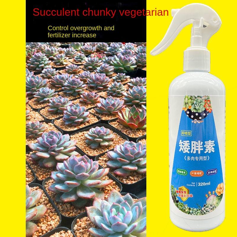 Succulent plant Eugenin promotes budding, dwarf fat, prevents leggy organic granules, succulent, and succulent 320ml
Succulent plant Eugenin promotes budding, dwarf fat, prevents leggy organic granules, succulent, and succulent 320ml