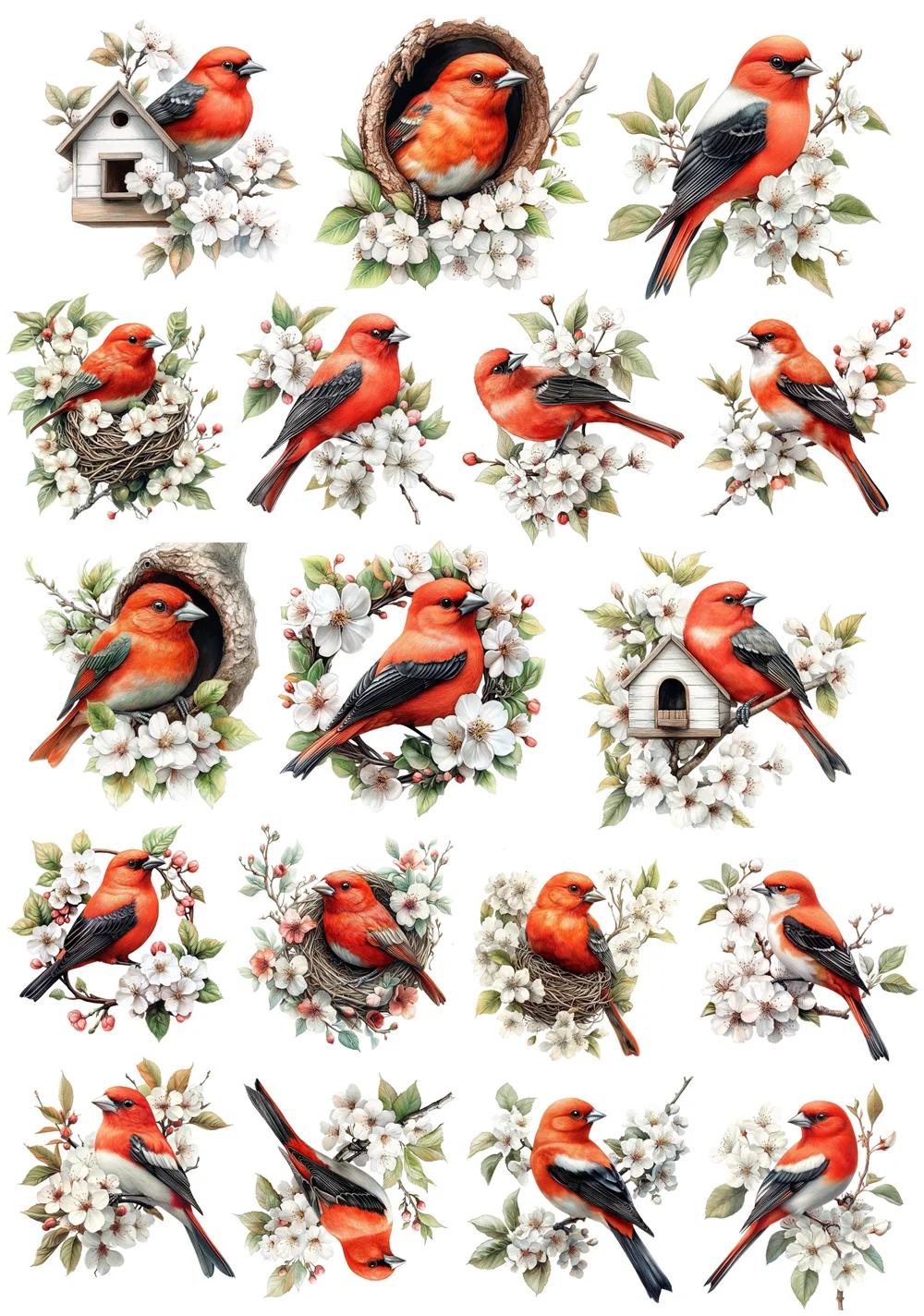 1 Set Cute Watercolor paintings of birds and flowers Stickers Hand Account Diy Album Stationery Planner Journaling scrapbooking білий
1 Set Cute Watercolor paintings of birds and flowers Stickers Hand Account Diy Album Stationery Planner Journaling scrapbooking білий