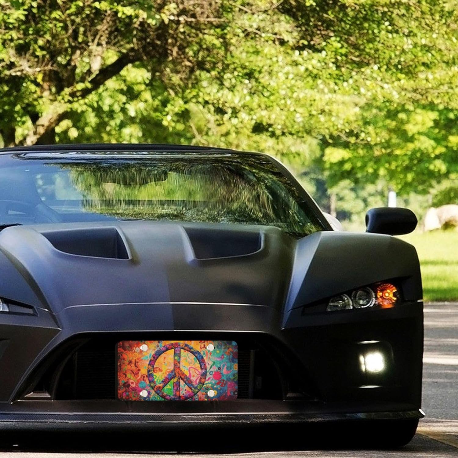 Передний номерной знак с изображением знака мира, алюминий, 4 отверстия, декоративные автомобильные бирки для седана, внедорожника, грузовика, стандарт 6×12 дюймов, 2 шт. в упаковке 1 Pack
Передний номерной знак с изображением знака мира, алюминий, 4 отверстия, декоративные автомобильные бирки для седана, внедорожника, грузовика, стандарт 6×12 дюймов, 2 шт. в упаковке 1 Pack