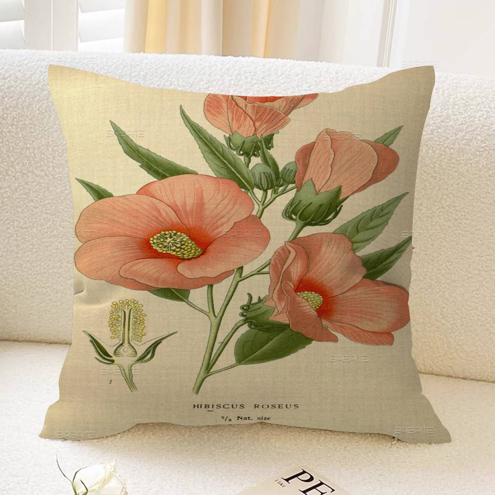 Anime New Botanical Illustration Cushion Cover Pillowcase Upholstery Sofa Throw Pillow Home Decor Pillowcas 12x12Inch
Anime New Botanical Illustration Cushion Cover Pillowcase Upholstery Sofa Throw Pillow Home Decor Pillowcas 12x12Inch