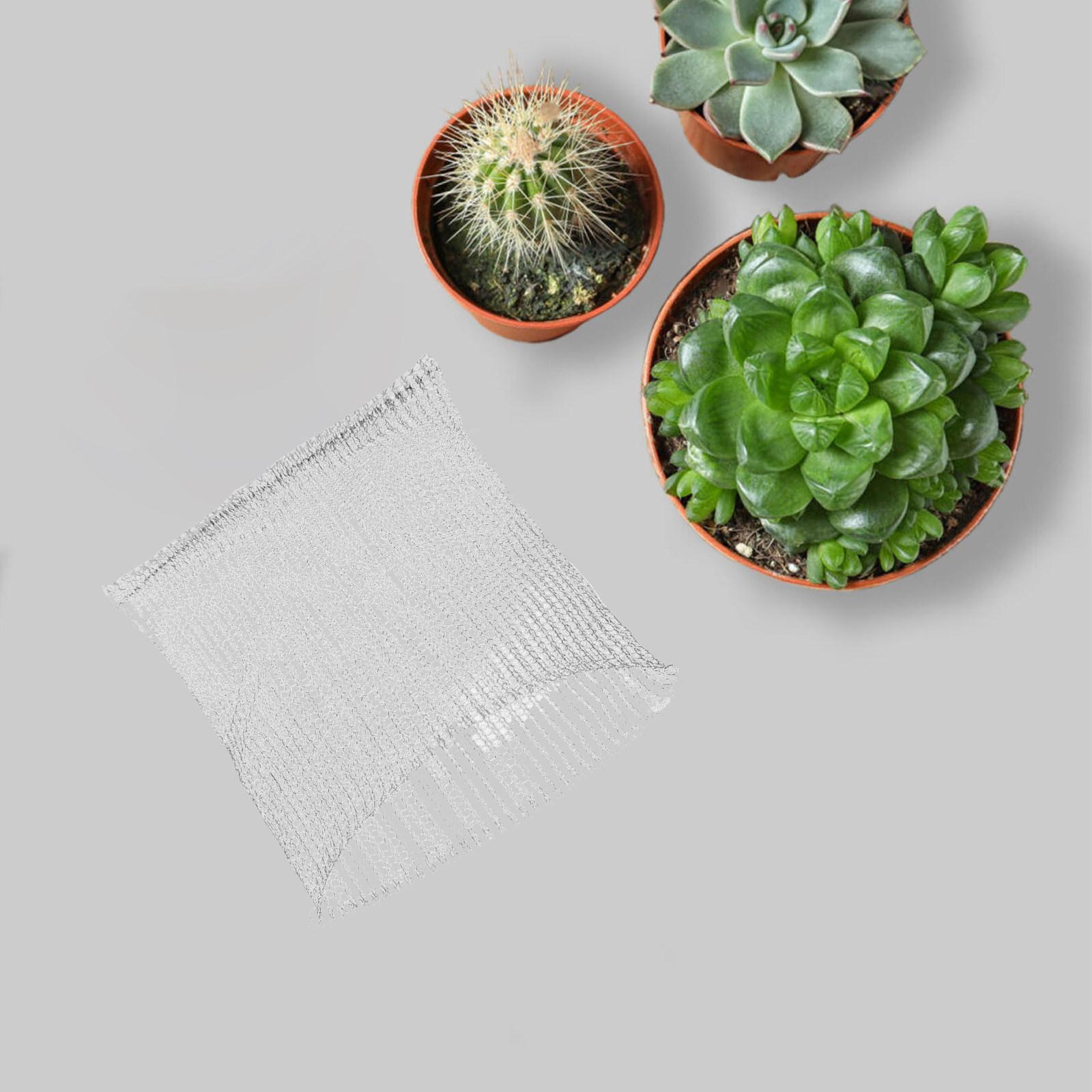 Plant Root Mesh Protectors Stainless Steel Gardening Net Bag Fine Mesh Hole Design for Outdoor Flower Vegetable Root Protection 35X35CM
Plant Root Mesh Protectors Stainless Steel Gardening Net Bag Fine Mesh Hole Design for Outdoor Flower Vegetable Root Protection 35X35CM