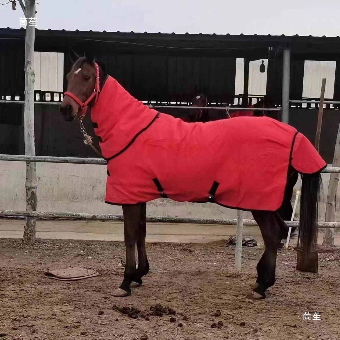 Утепленное хлопковое зимнее пальто для крупных ахалтекинских лошадей Red 125
Утепленное хлопковое зимнее пальто для крупных ахалтекинских лошадей Red 125