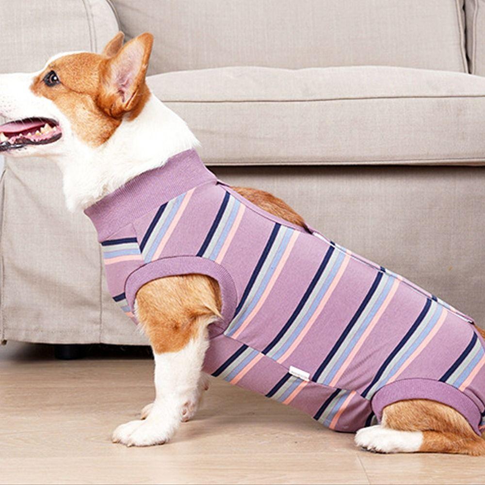 Breathable Neuter Anti-Lick Suit Thickened Postoperative Clothes Home Recovery S кларет
Breathable Neuter Anti-Lick Suit Thickened Postoperative Clothes Home Recovery S кларет