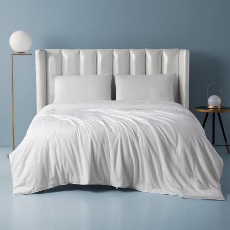 Beyond Home Textile Yadi Mulberry Silk Jacquard Duvet
Beyond Home Textile Yadi Mulberry Silk Jacquard Duvet