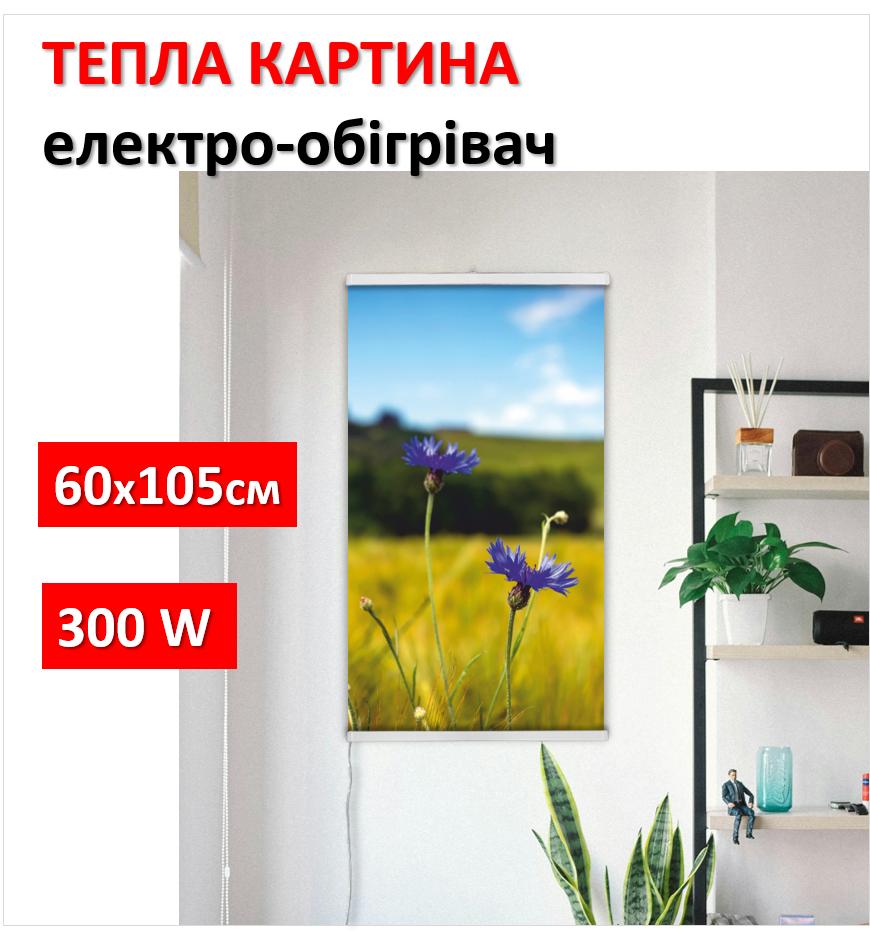 Інфрачервоний обігрівач настінний картинки Васильки 61x107см/250Вт/220В
Інфрачервоний обігрівач настінний картинки Васильки 61x107см/250Вт/220В
