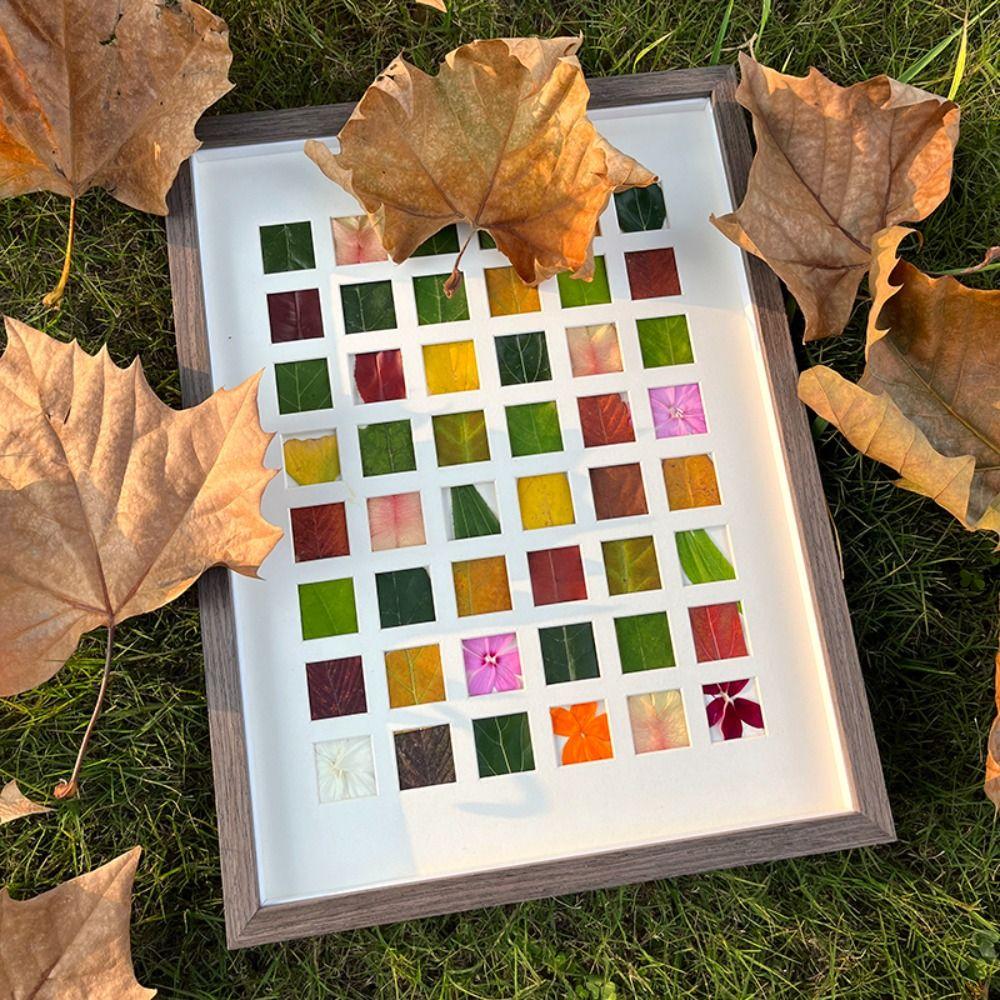 DIY Collage Picture Frame 36/48 Grids Art Display Frame Leaf Collection Photo Frame Desktop Light Brown-30*30cm
DIY Collage Picture Frame 36/48 Grids Art Display Frame Leaf Collection Photo Frame Desktop Light Brown-30*30cm