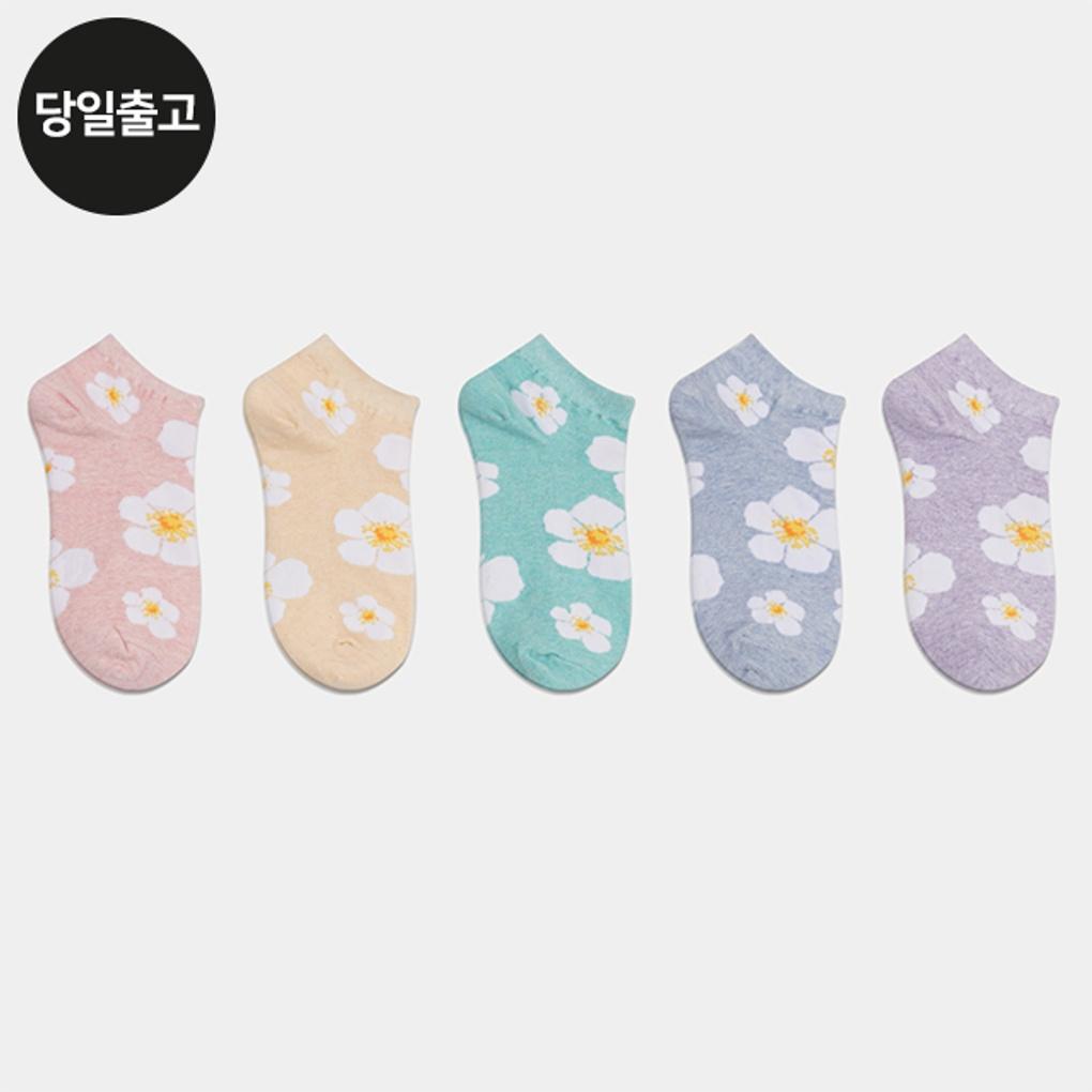 PG Women s/Student Cherry Blossom Ankle Socks (5 Pairs) Set Daily Flower Socks
PG Women s/Student Cherry Blossom Ankle Socks (5 Pairs) Set Daily Flower Socks