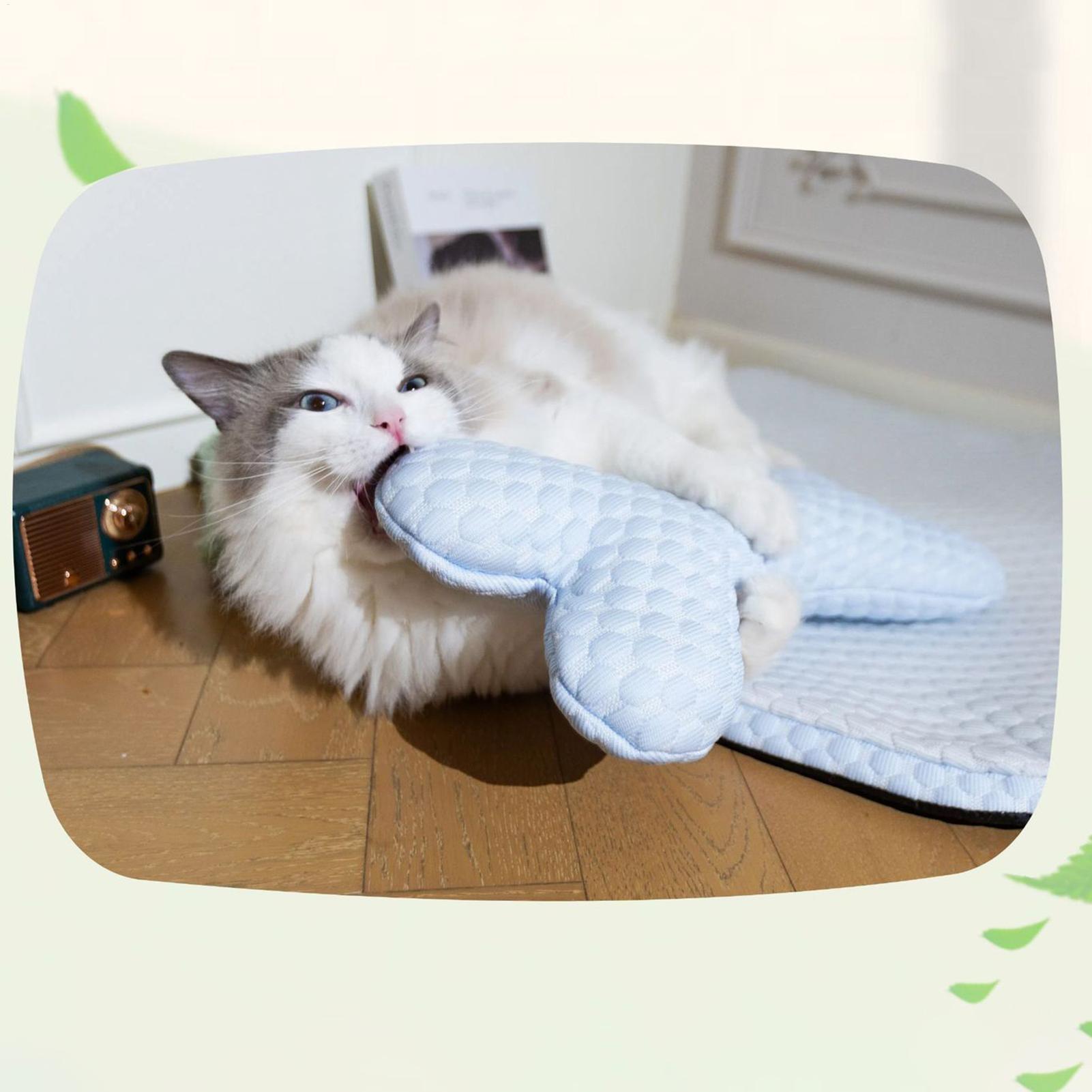 Cooling Bed For Cats Cooling Pet Mat Wear-Resistant Dog Chill Pad Cat Sleeping Rest Supplies For Floor Sofa Nest Living Room Or CHINA
Cooling Bed For Cats Cooling Pet Mat Wear-Resistant Dog Chill Pad Cat Sleeping Rest Supplies For Floor Sofa Nest Living Room Or CHINA