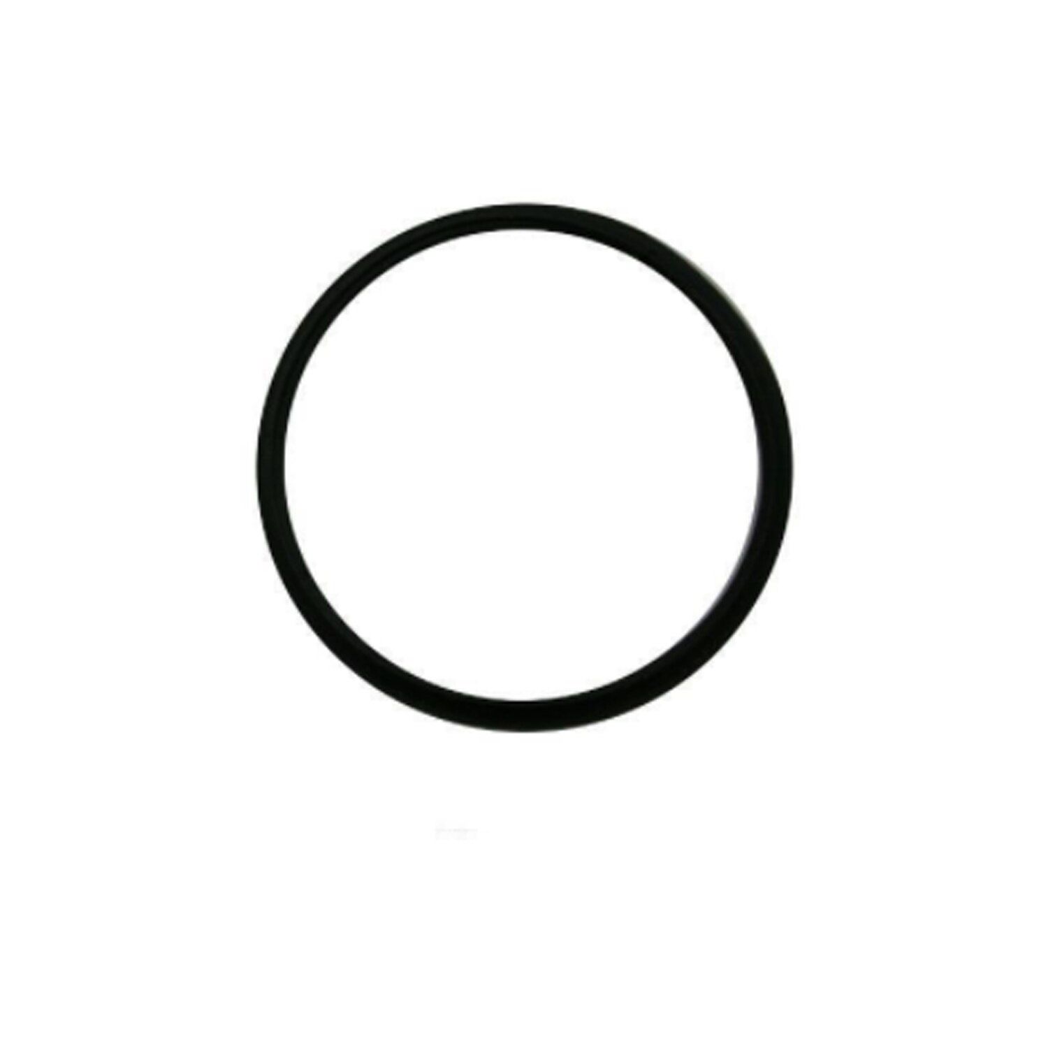 Fuel Pump Mounting Ring with Seal for Renault Laguna
Fuel Pump Mounting Ring with Seal for Renault Laguna