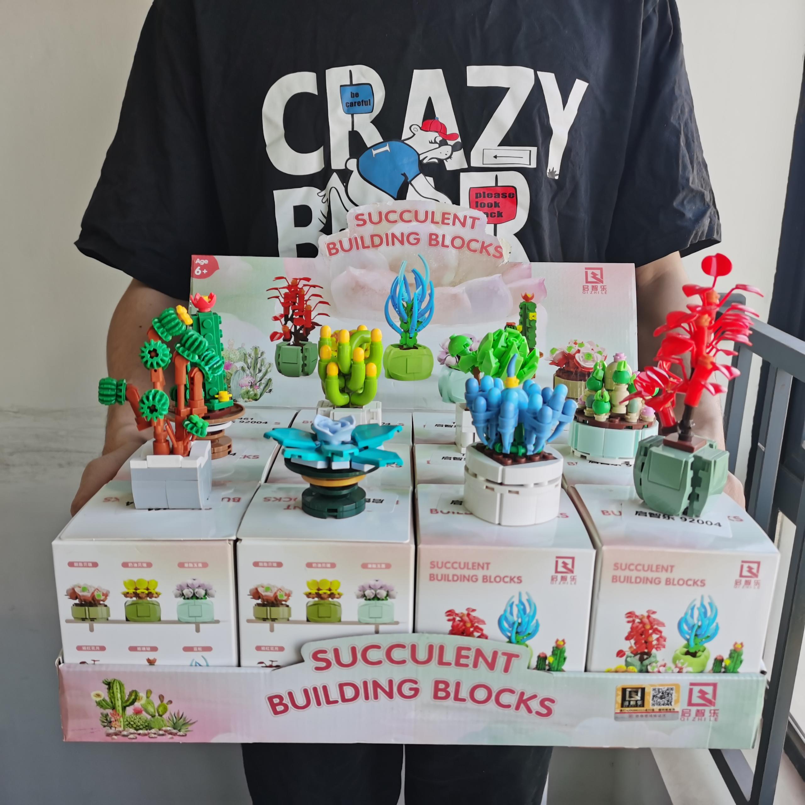 12PCS/Set Blind Box Toys Building Block Flower Succulents Plant DIY Children Assemble Small Brick Gifts Kids Toy for Boys Girls
12PCS/Set Blind Box Toys Building Block Flower Succulents Plant DIY Children Assemble Small Brick Gifts Kids Toy for Boys Girls