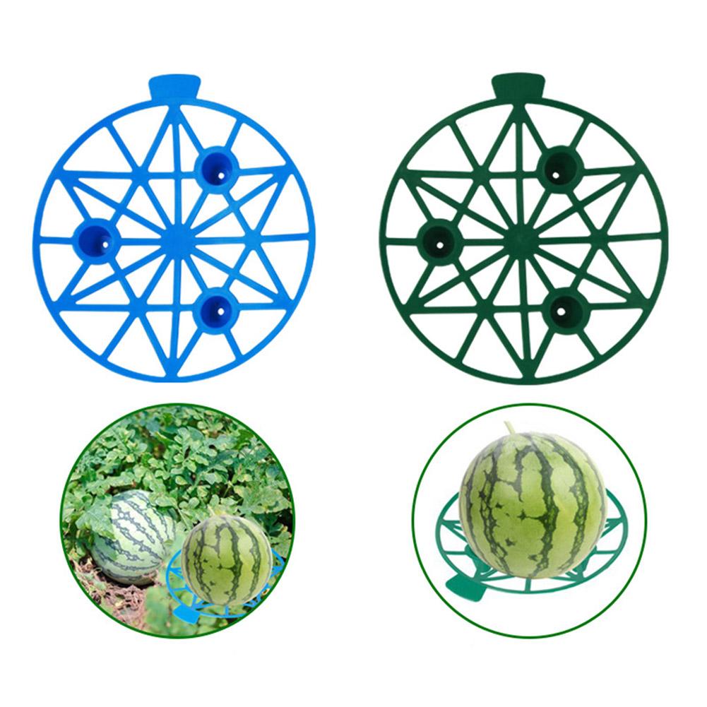 10pcs Watermelon Holder Horticultural Fruit Tray Anti Holder Fruit Frame Decay Vegetables Protective Tray Fixed Support Pla U4V6 зелёный
10pcs Watermelon Holder Horticultural Fruit Tray Anti Holder Fruit Frame Decay Vegetables Protective Tray Fixed Support Pla U4V6 зелёный