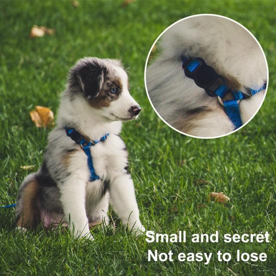 Силиконовый чехол Pet Tracker Protector Легкий красочный чехол для трекера домашних животных с защитой от царапин для Airtag
Силиконовый чехол Pet Tracker Protector Легкий красочный чехол для трекера домашних животных с защитой от царапин для Airtag