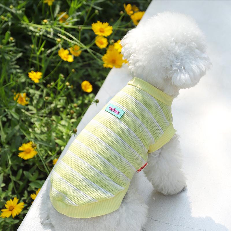 Gradient Ribbed Cooling Pet T-Shirt Thin Breathable Anti-Shed Vest For Small Dog Cat Spring Summer Indoor Outdoor Daily Wear XL: Chest 54cm
Gradient Ribbed Cooling Pet T-Shirt Thin Breathable Anti-Shed Vest For Small Dog Cat Spring Summer Indoor Outdoor Daily Wear XL: Chest 54cm