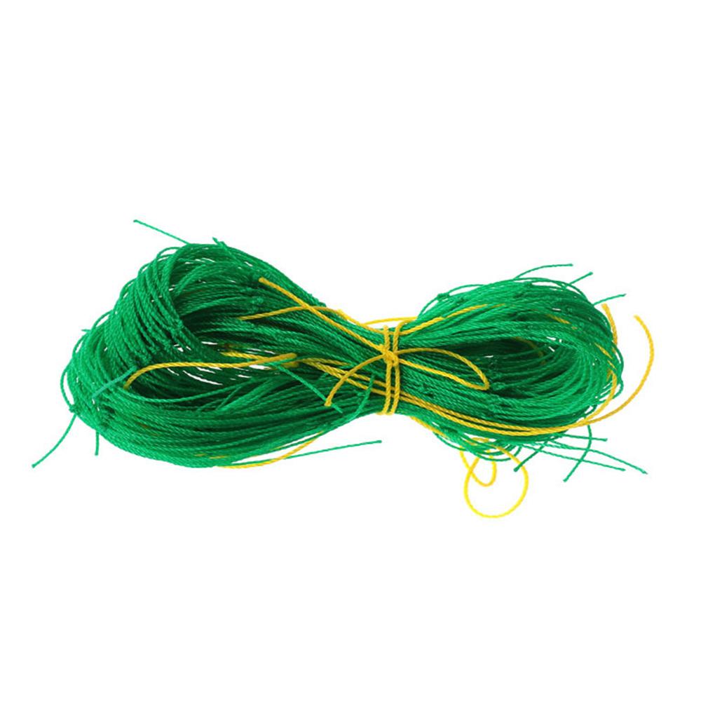 Plant Climbing Net Vegetable Beans Trellis Back Garden Mesh Support Grow Bracket Netting Reusable Home Gardening
Plant Climbing Net Vegetable Beans Trellis Back Garden Mesh Support Grow Bracket Netting Reusable Home Gardening