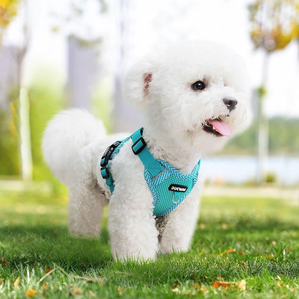 Adjustable Pet Walking Vest with Traction Rope Jacket Harness Sturdy Dog Harness Set All Seasons L жовтий
Adjustable Pet Walking Vest with Traction Rope Jacket Harness Sturdy Dog Harness Set All Seasons L жовтий