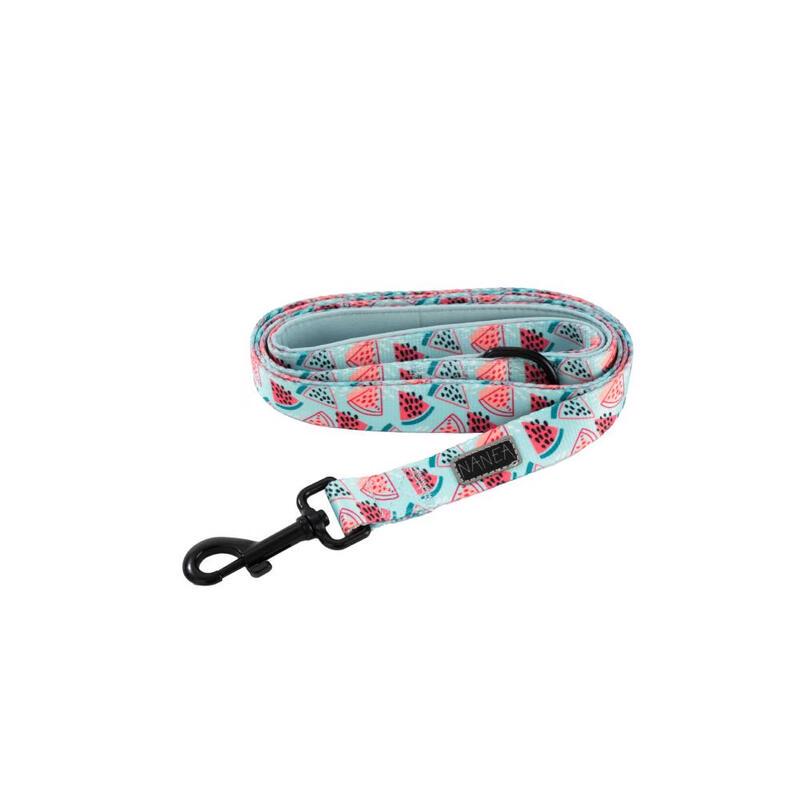WEZHO Dog Harness and Leash Set
WEZHO Dog Harness and Leash Set