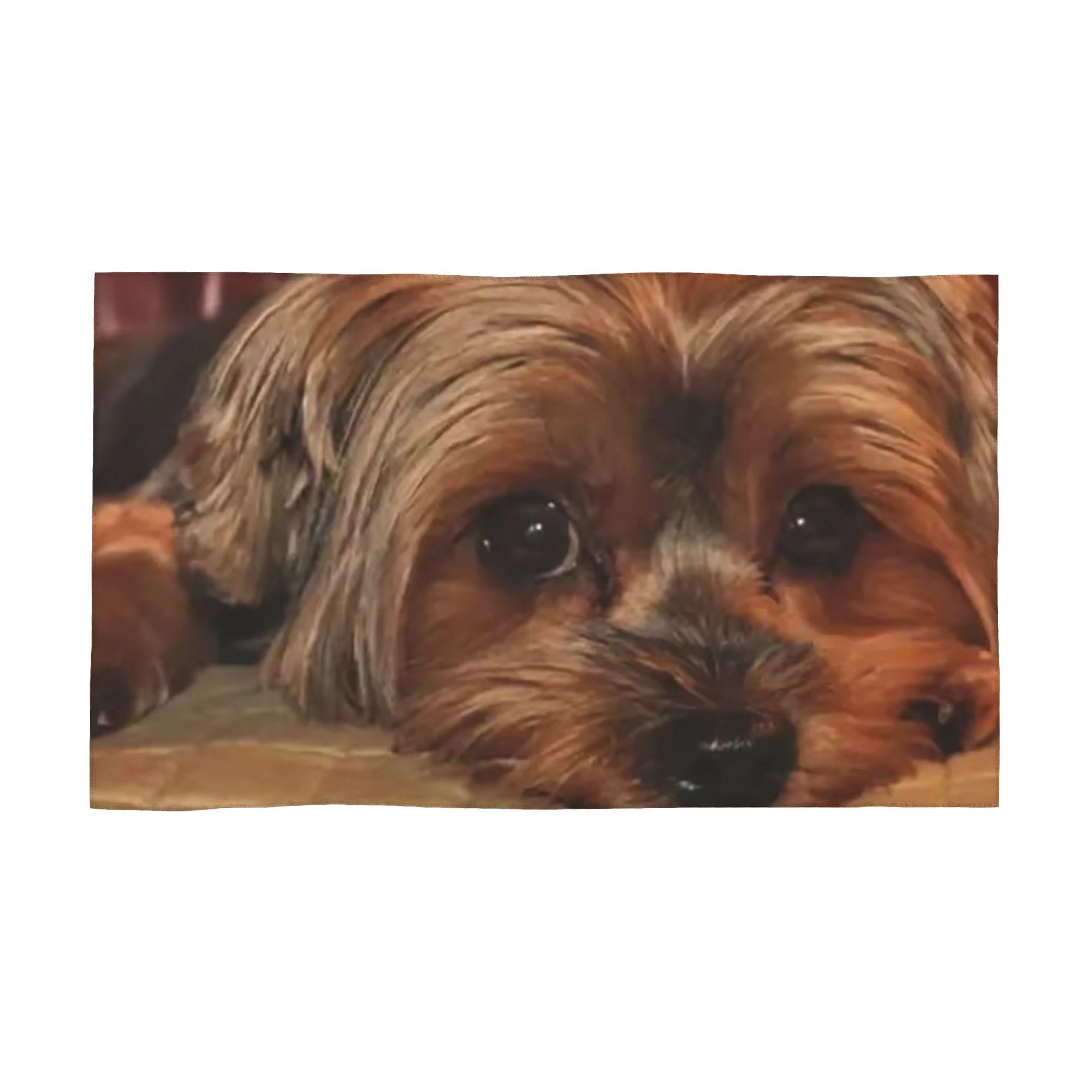 Yorkshire Terrier Yorkie Dog Soft Face Towel Quick Dry Pool Bath Cotton Towels Absorbent Quick W40*H60(CM)
Yorkshire Terrier Yorkie Dog Soft Face Towel Quick Dry Pool Bath Cotton Towels Absorbent Quick W40*H60(CM)