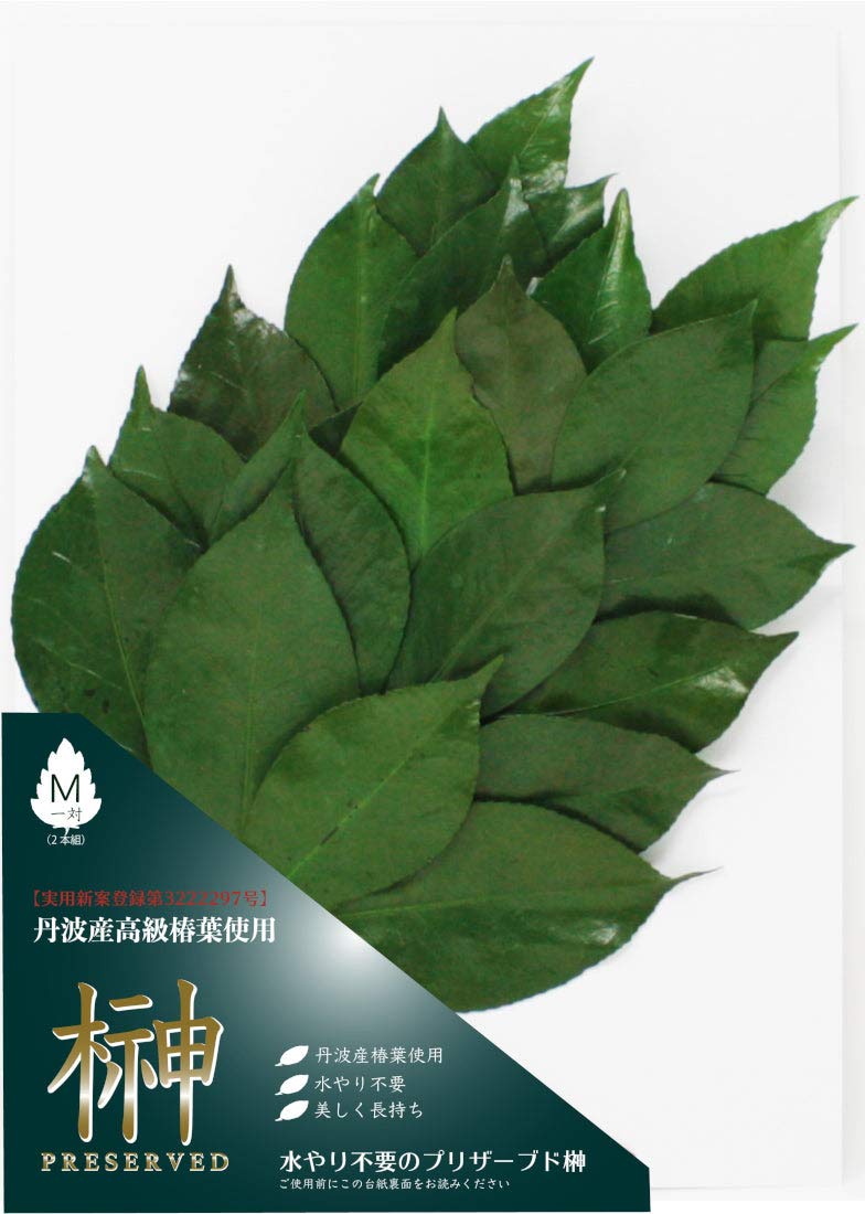 A&K Japanese-Made Preserved Sakaki Flowers, Pair (2 stems), 15 x 1 x 32cm, Medium, Green
A&K Japanese-Made Preserved Sakaki Flowers, Pair (2 stems), 15 x 1 x 32cm, Medium, Green