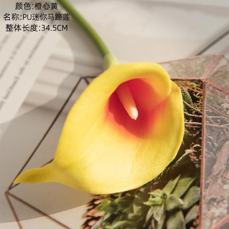 Mini Horseshoe Lotus Manufacturer Simulation Flower Simulation Plant Home Decoration Wedding Fake Flower 5pcs
Mini Horseshoe Lotus Manufacturer Simulation Flower Simulation Plant Home Decoration Wedding Fake Flower 5pcs