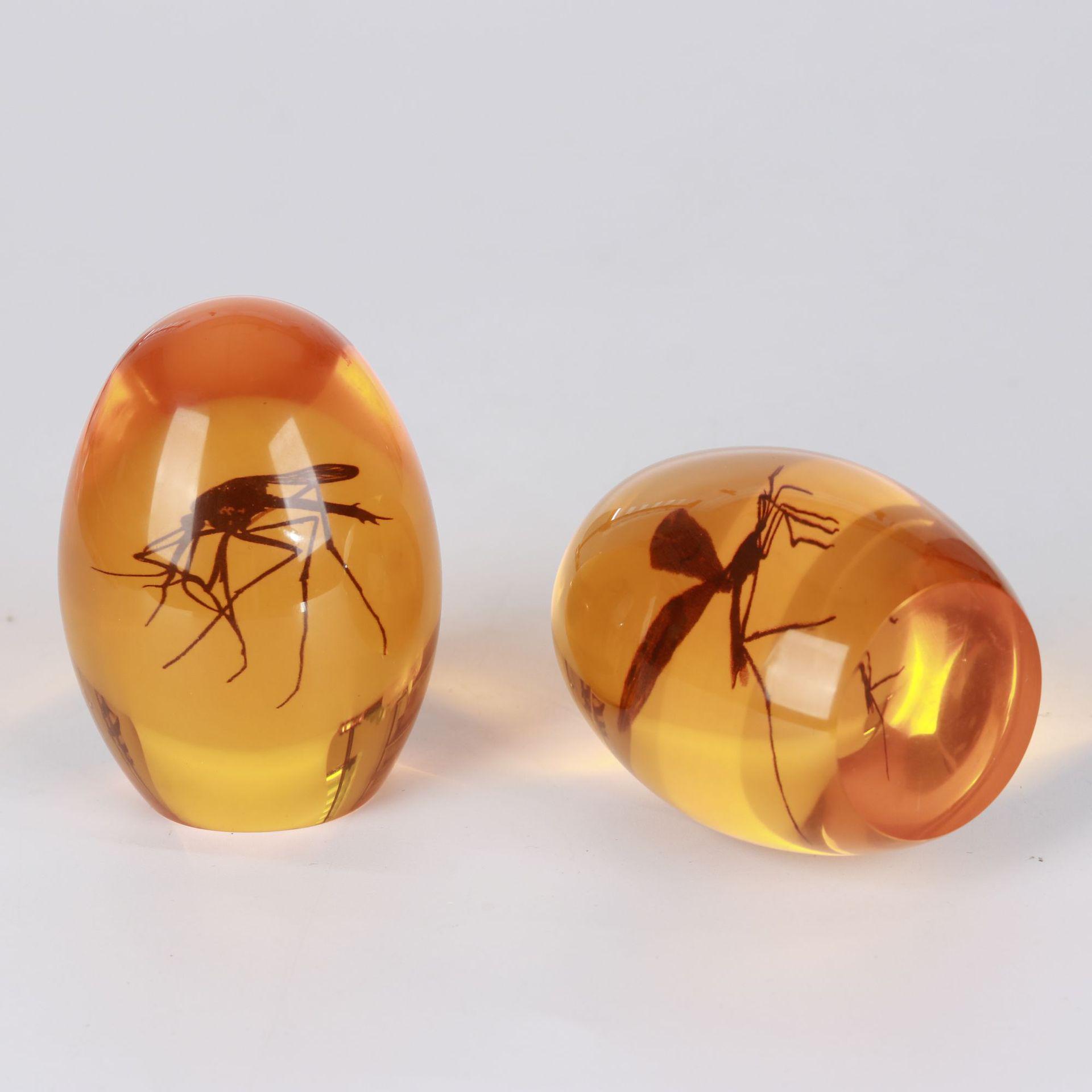 Amber Oval Mosquito Resin Paperweight Ornament Gift 7.6 x 5.8 cm янтарь
Amber Oval Mosquito Resin Paperweight Ornament Gift 7.6 x 5.8 cm янтарь