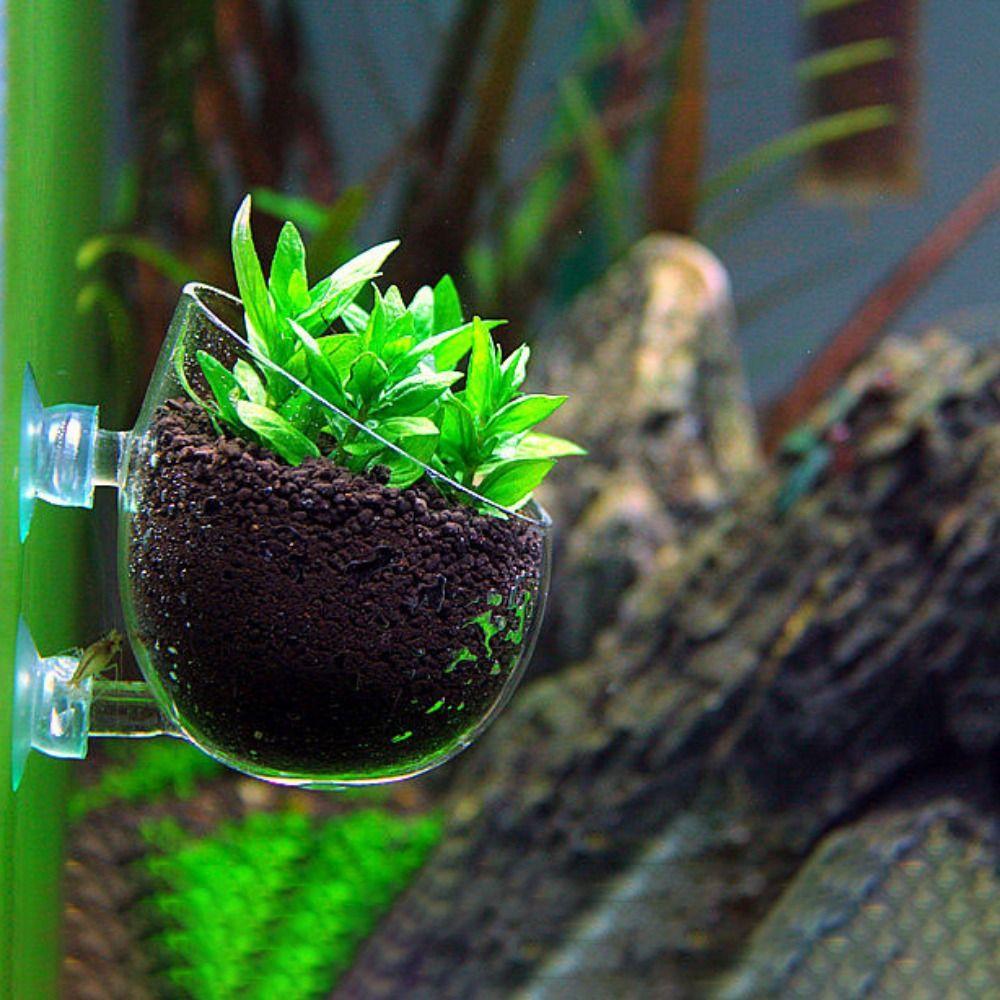 Tank Decor High Borosilicate Glass Aquarium Plant Pot Water Grass Cup Pet Accessories Waterweed Cup прозрачный
Tank Decor High Borosilicate Glass Aquarium Plant Pot Water Grass Cup Pet Accessories Waterweed Cup прозрачный