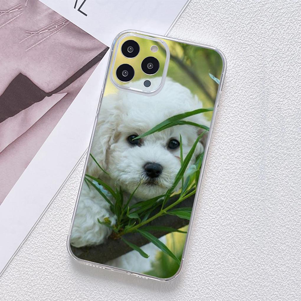 Poodle Bichon Frise Dog Cover Phone Case for Motorola Moto G13 G14 G53 G54 G62 G72 G82 G84 Edge 40 neo pro Funda Casing Moto G54
Poodle Bichon Frise Dog Cover Phone Case for Motorola Moto G13 G14 G53 G54 G62 G72 G82 G84 Edge 40 neo pro Funda Casing Moto G54
