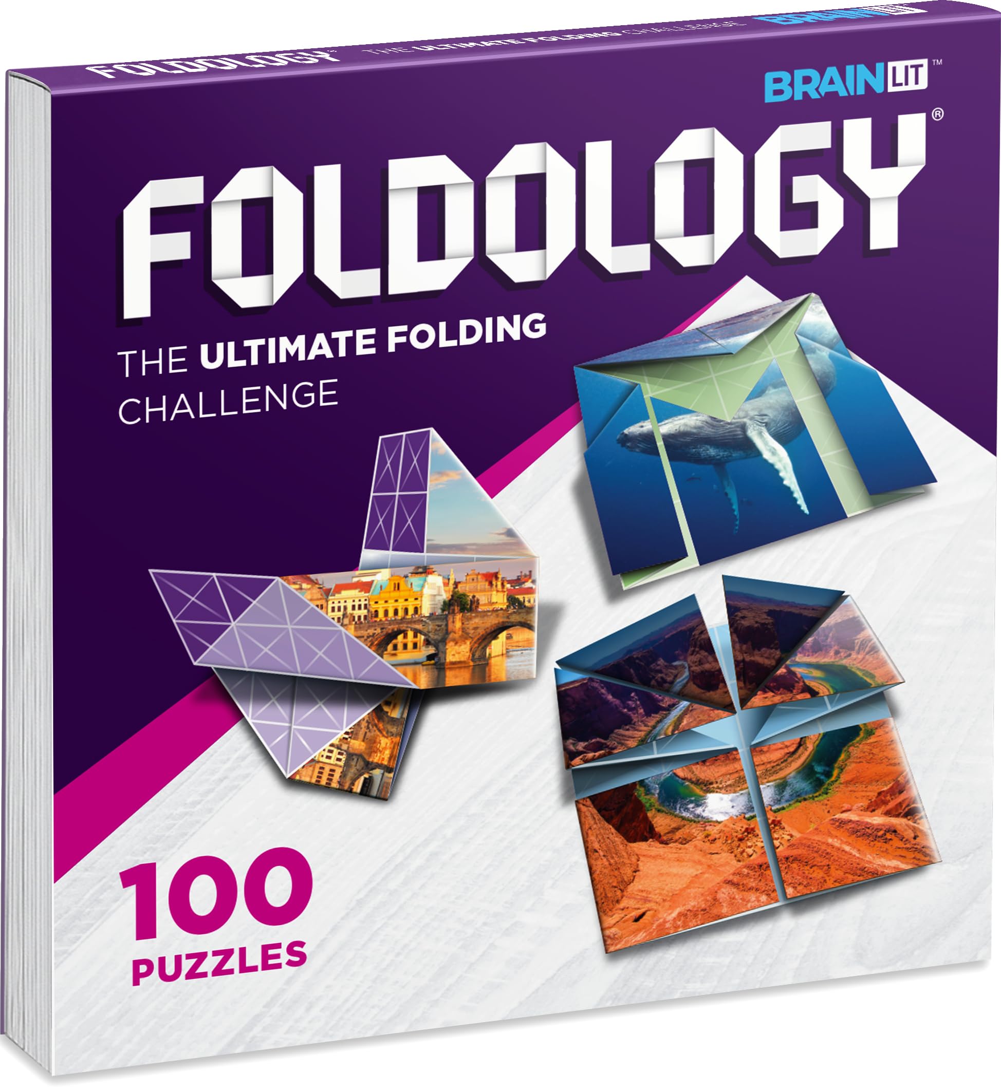 FOLDOLOGY Origami Puzzle Game FY01 Authentic
FOLDOLOGY Origami Puzzle Game FY01 Authentic