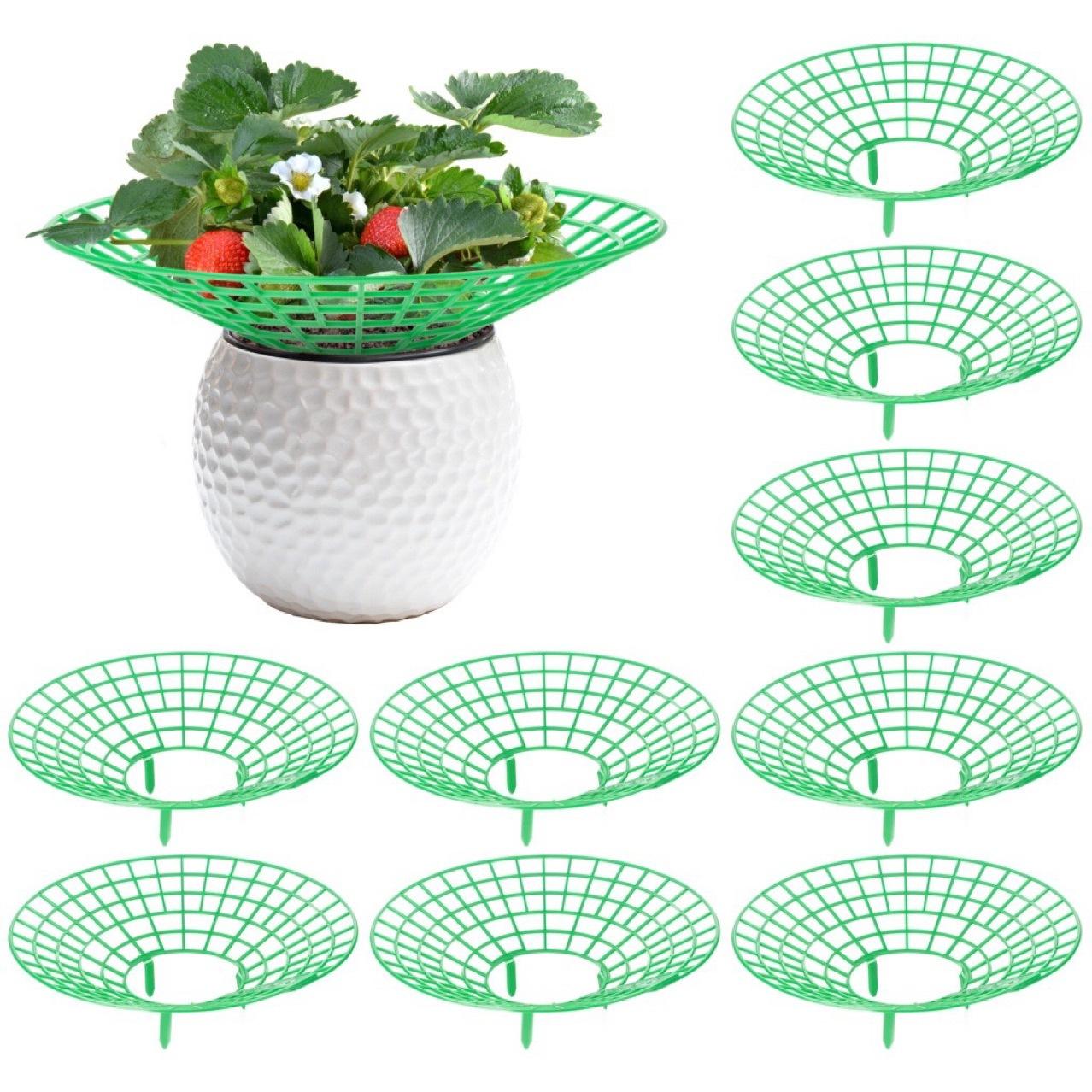 Supporting frames for fresh strawberry seedlings, strawberry planting frames, fruit support frames to prevent rotting.
Supporting frames for fresh strawberry seedlings, strawberry planting frames, fruit support frames to prevent rotting.