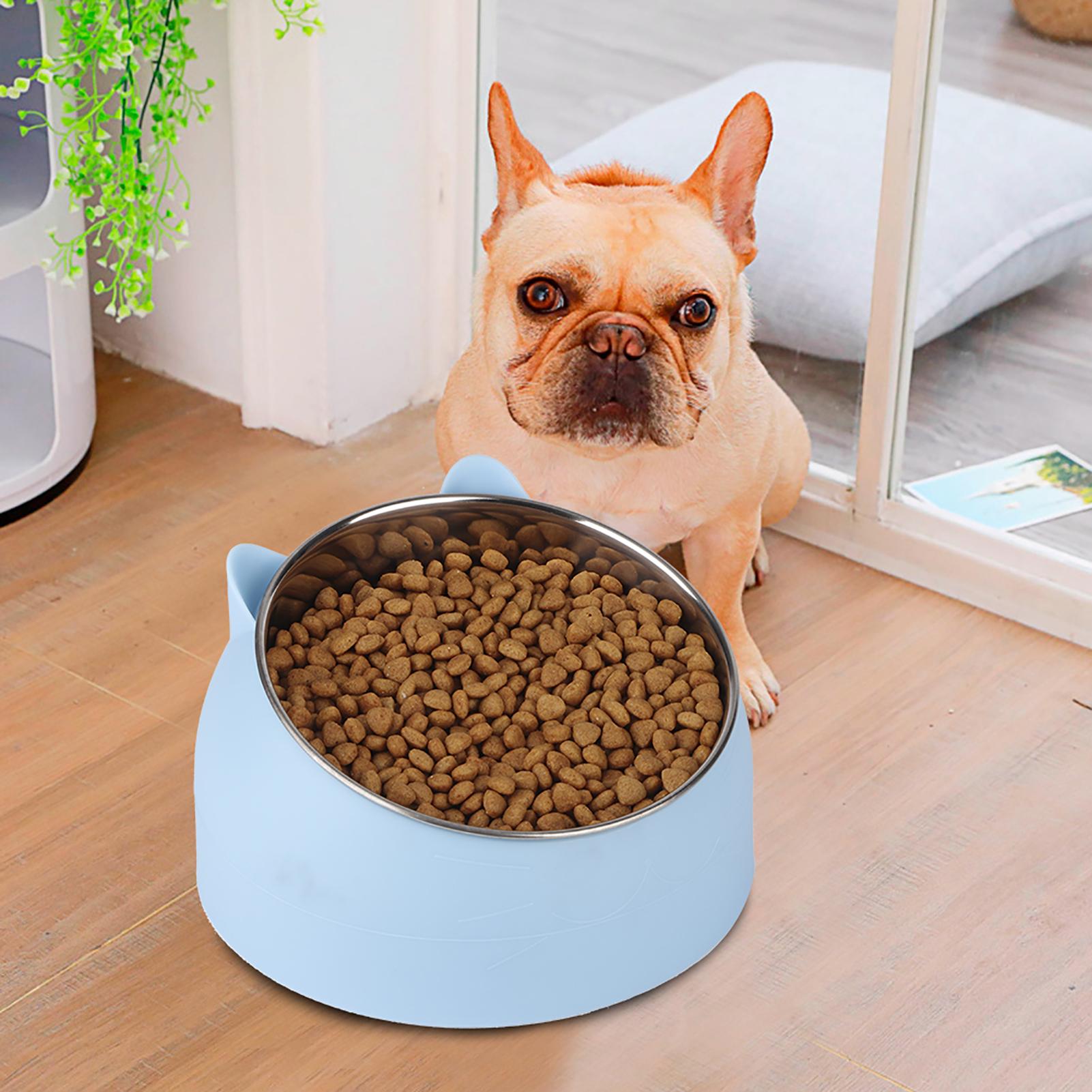 15 Degree Pet Tilted Feeder Food Feeding Bowl Neck Protection for Cat Small Dogsmall size 304 stainless steel blue
15 Degree Pet Tilted Feeder Food Feeding Bowl Neck Protection for Cat Small Dogsmall size 304 stainless steel blue