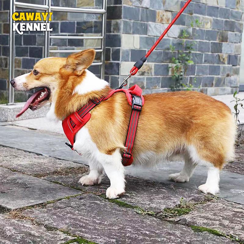 CAWAYI KENNEL шлейка для собак дышащая светоотражающая шлейка для домашних животных жилет для маленьких и больших собак аксессуары для тренировок на открытом воздухе для бега
CAWAYI KENNEL шлейка для собак дышащая светоотражающая шлейка для домашних животных жилет для маленьких и больших собак аксессуары для тренировок на открытом воздухе для бега