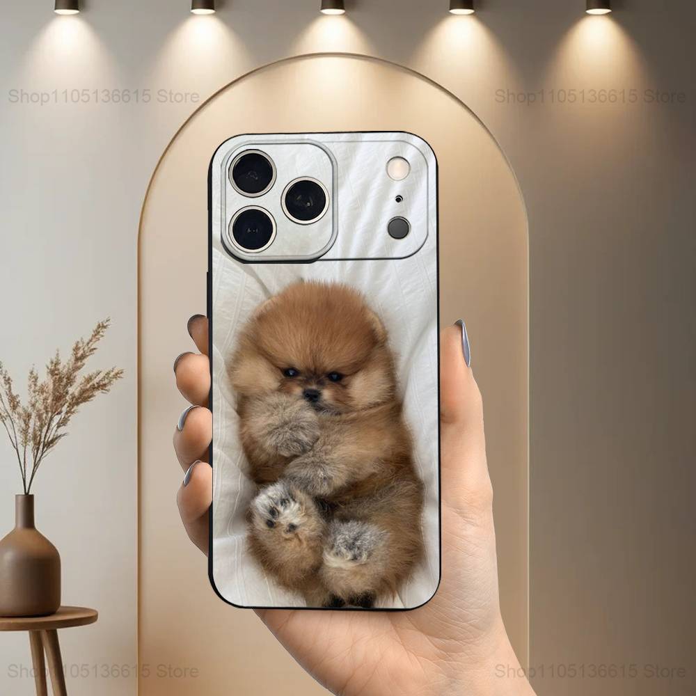 Cute animal Pomeranian Dogs For iPhone 12,14,13,15,16,11,17,X,Mini,XR,SE,XS,Plus,Pro,Max,8,7,Soft Silicone Black Case iPhone14PRO
Cute animal Pomeranian Dogs For iPhone 12,14,13,15,16,11,17,X,Mini,XR,SE,XS,Plus,Pro,Max,8,7,Soft Silicone Black Case iPhone14PRO