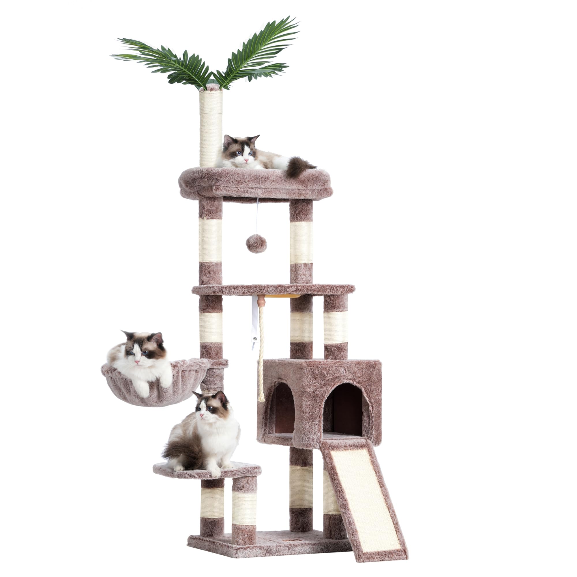 Heybly Cat Space Easy to Cat Large Observation Natural Hemp Claw Toch Декоративные листья Высота Светло-коричневый HCT015MU Башня, Тонкий, Стационарный, светло-коричневого
Heybly Cat Space Easy to Cat Large Observation Natural Hemp Claw Toch Декоративные листья Высота Светло-коричневый HCT015MU Башня, Тонкий, Стационарный, светло-коричневого