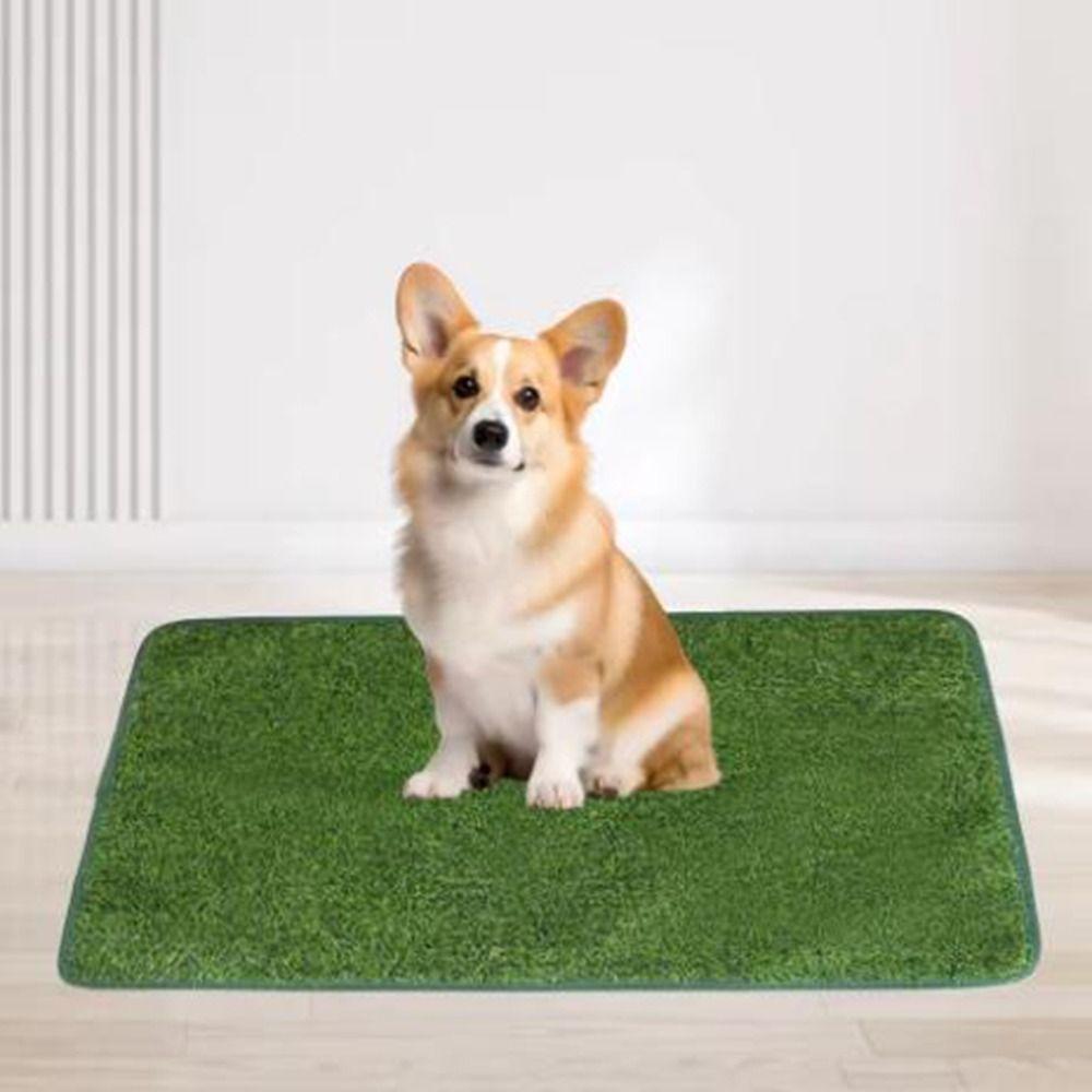Breathable Simulated Lawn Dog Pads Washable Pet Lawn Mat Pet Accessories Dog Litter Mat Indoor 46×36cm зелёный
Breathable Simulated Lawn Dog Pads Washable Pet Lawn Mat Pet Accessories Dog Litter Mat Indoor 46×36cm зелёный